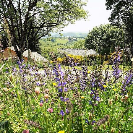 Domaine Des Marequiers Chambre Pimprenelle Saint-Germain-du-Teil Экстерьер фото