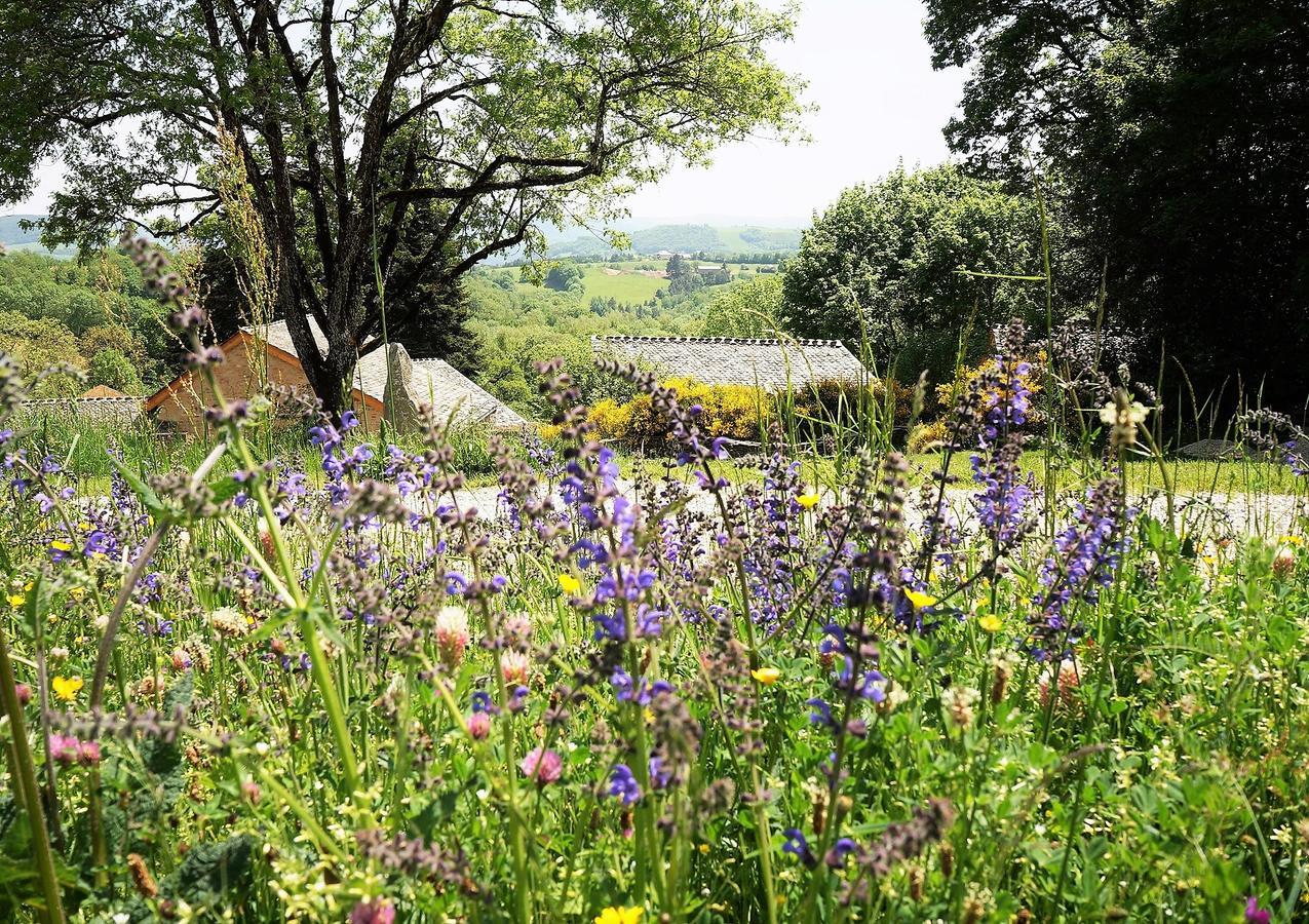 Domaine Des Marequiers Chambre Pimprenelle Saint-Germain-du-Teil Экстерьер фото