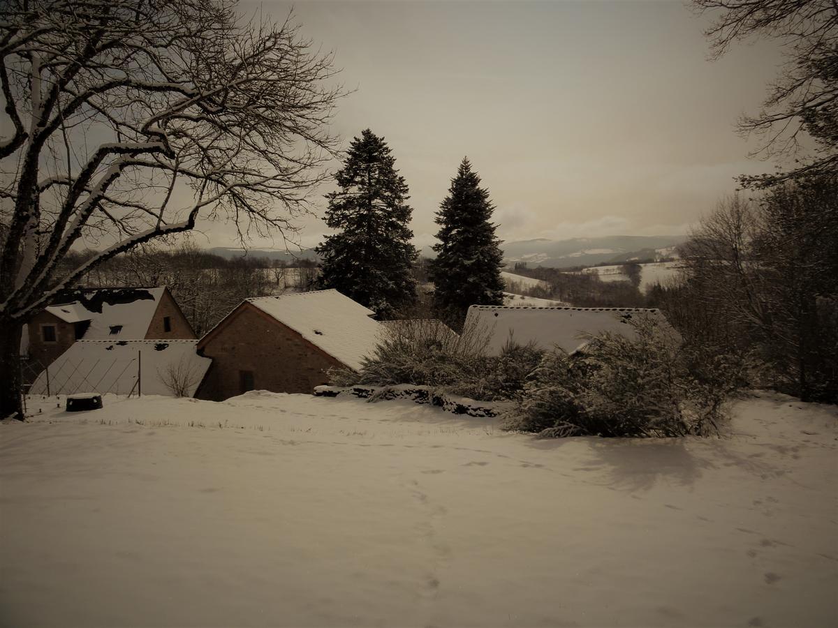 Domaine Des Marequiers Chambre Pimprenelle Saint-Germain-du-Teil Экстерьер фото